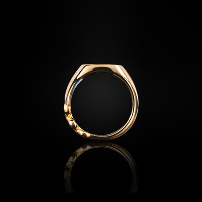 RECTANGLE SIGNET RING WITH DIAMONDS